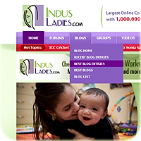 Indusladies.com Redesign And Forum Integration.